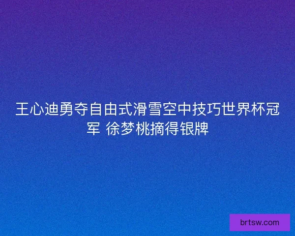 王心迪勇夺自由式滑雪空中技巧世界杯冠军 徐梦桃摘得银牌